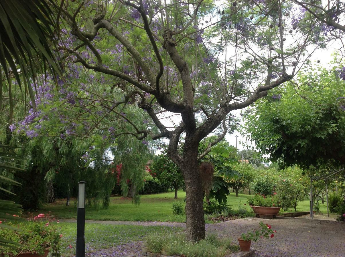 La Quercia Bed & Breakfast Altavilla Silentina Bagian luar foto